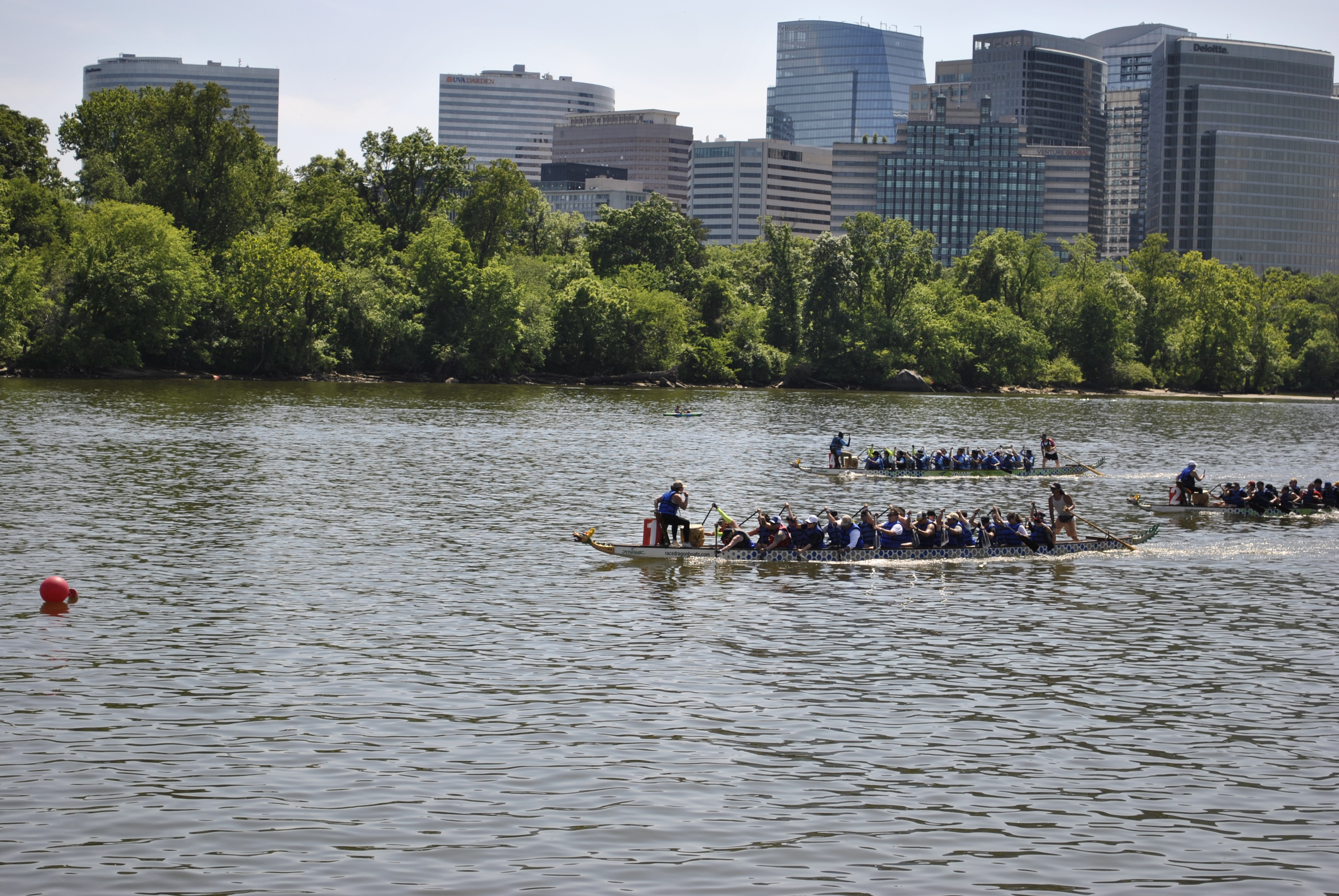 DC Dragon Boat Festival at Georgetown Waterfront Park